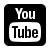 SNS Youtube