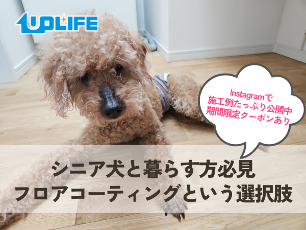シニア犬と暮らす方必見！フロアコーティングという選択肢