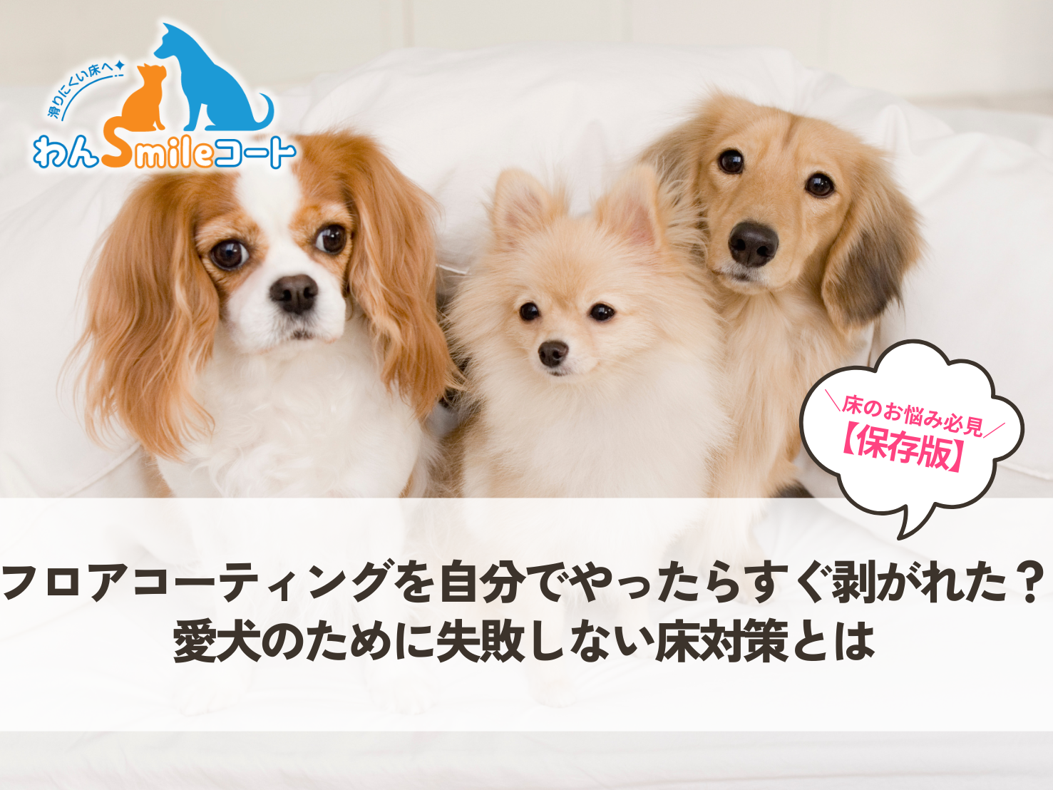 フロアコーティングを自分でやったらすぐ剥がれた?愛犬のために失敗しない床対策とは