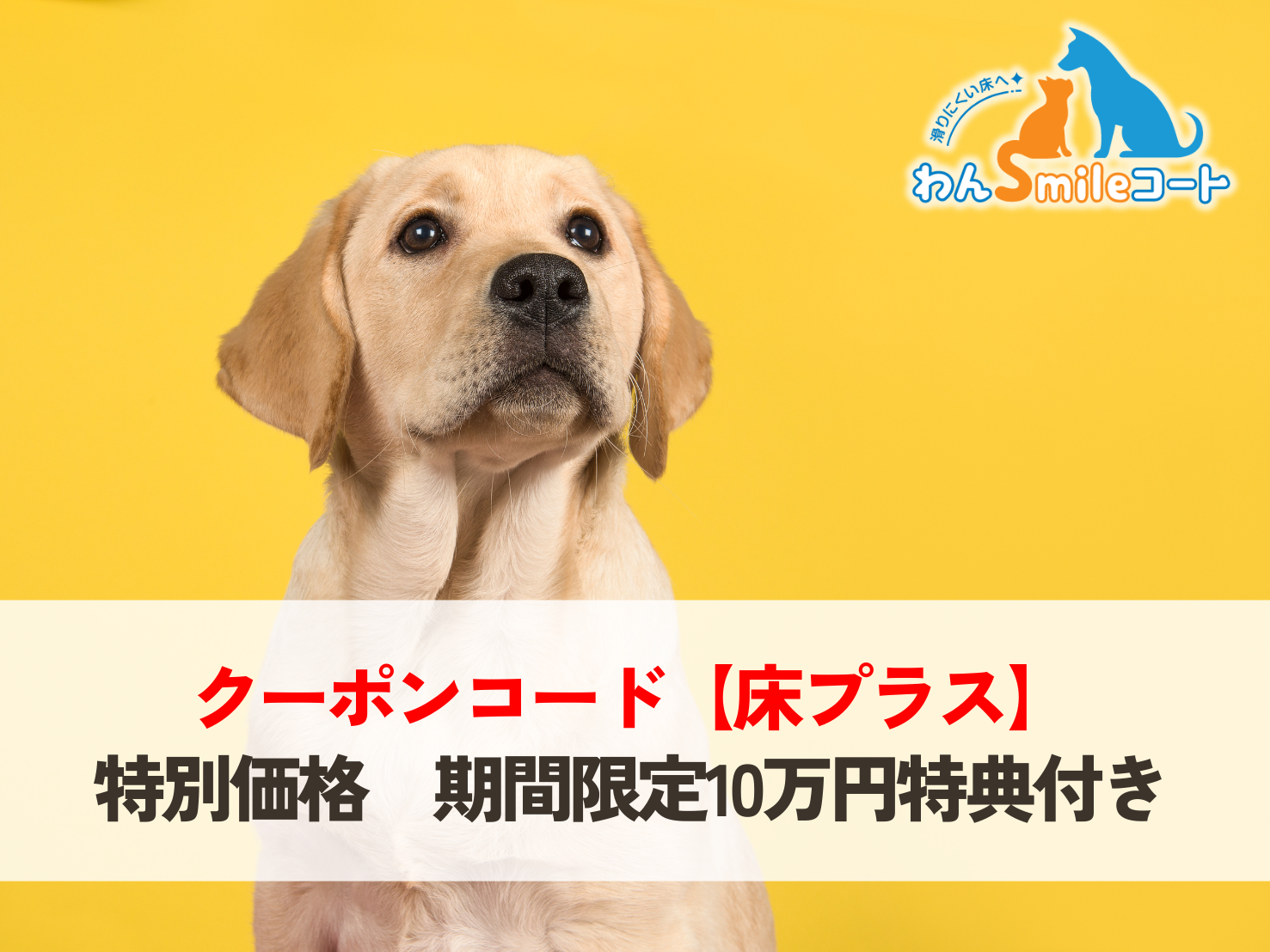 クーポンコード【床プラス】フロアコーティング特別価格　期間限定10万円特典付き