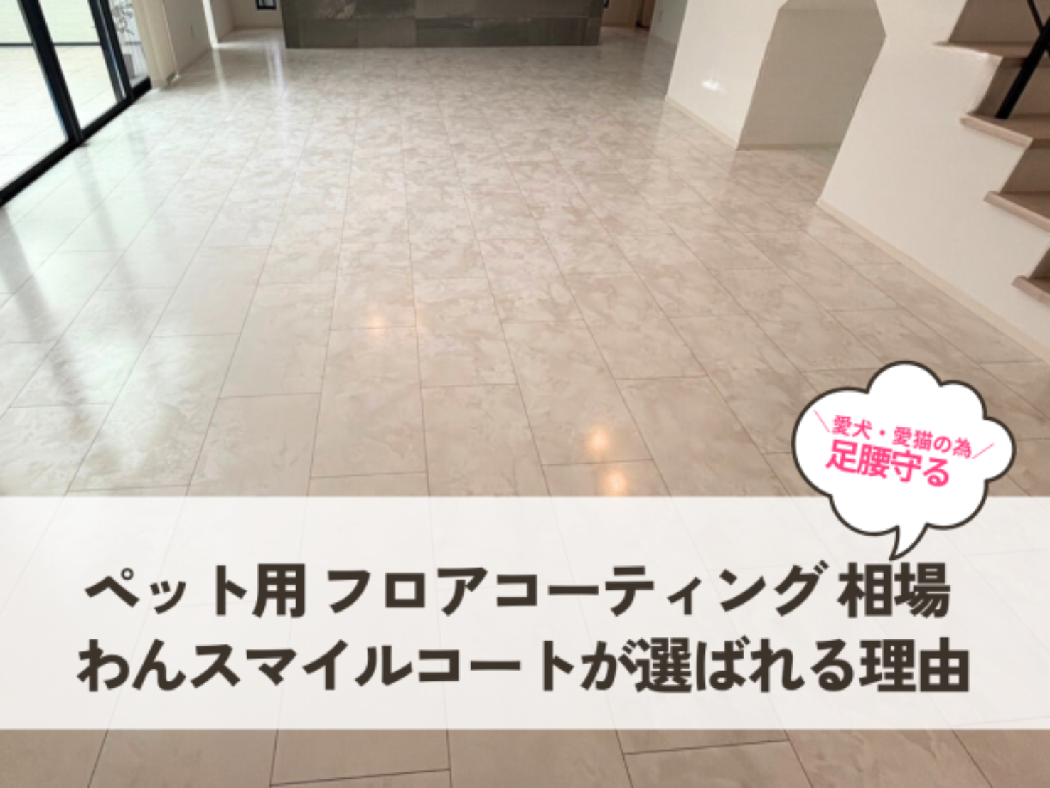 ペット用 フロアコーティング 相場｜わんスマイルコートが選ばれる理由