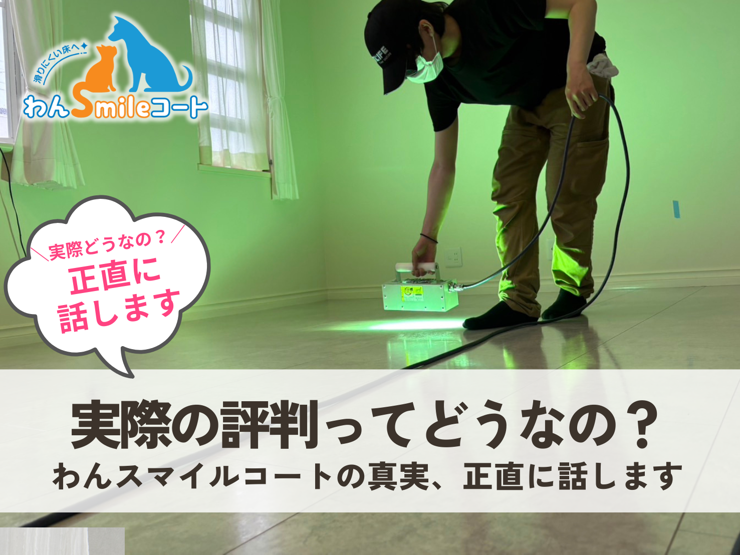 実際の評判ってどうなの？わんスマイルコートの真実、正直に話します