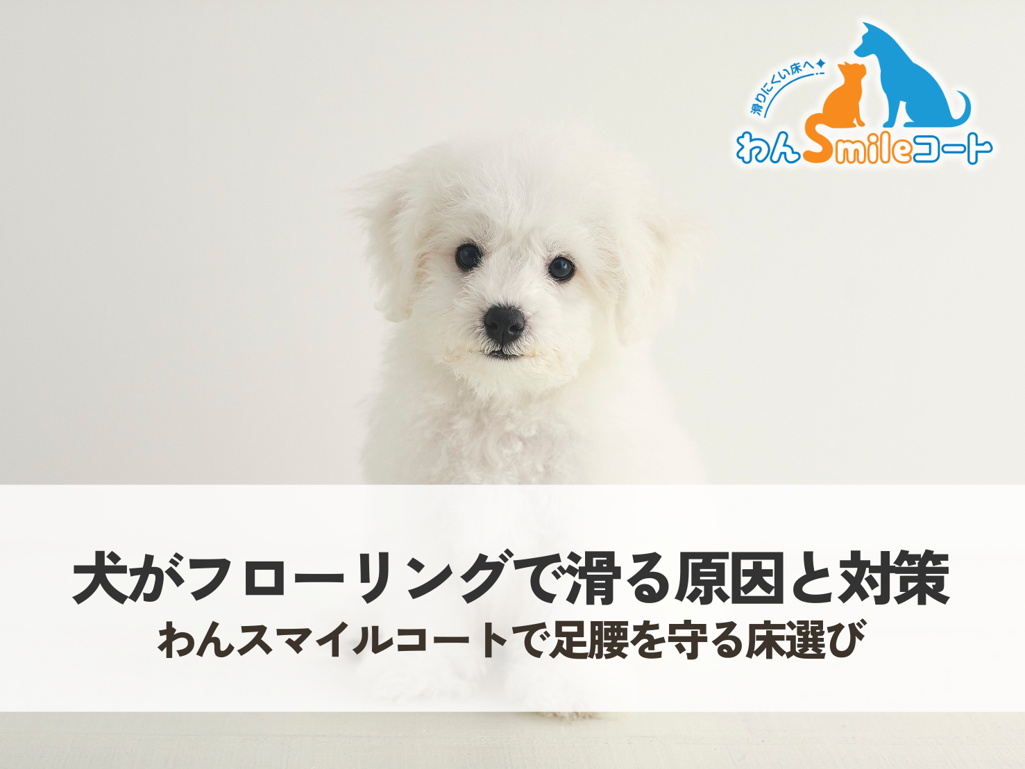犬が床で滑る原因と対策｜わんスマイルコートで足腰を守る床選び