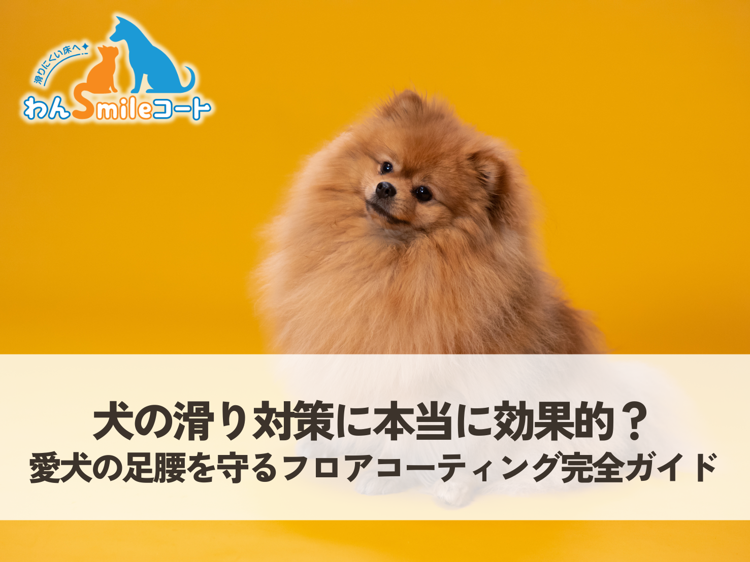 犬の滑り対策に本当に効果的？愛犬の足腰を守るフロアコーティングとは