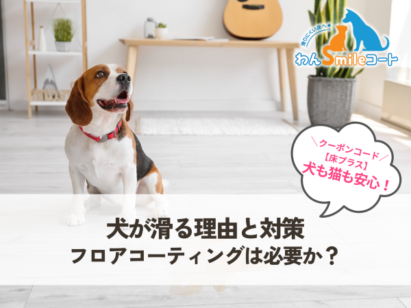 犬が滑る理由と対策｜フロアコーティングは必要？