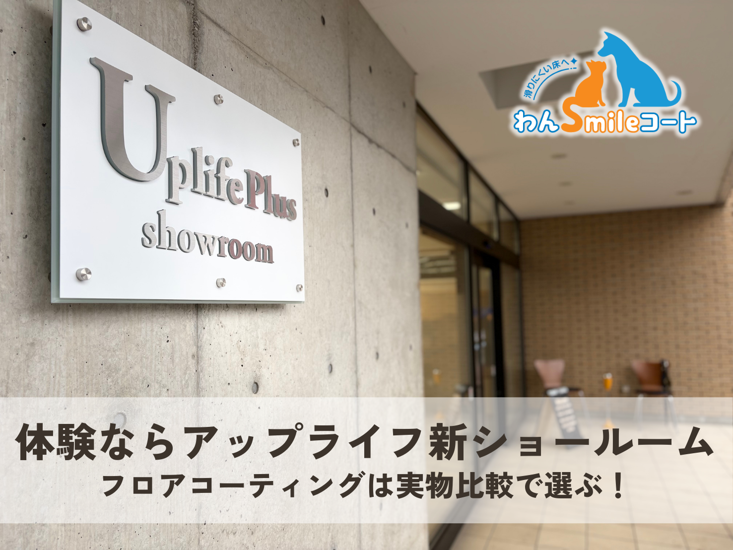 郡山ショールームOPEN｜犬の滑りに悩む方へ。「わんスマイルコート」を実物で体験できます【埼玉でも大好評】