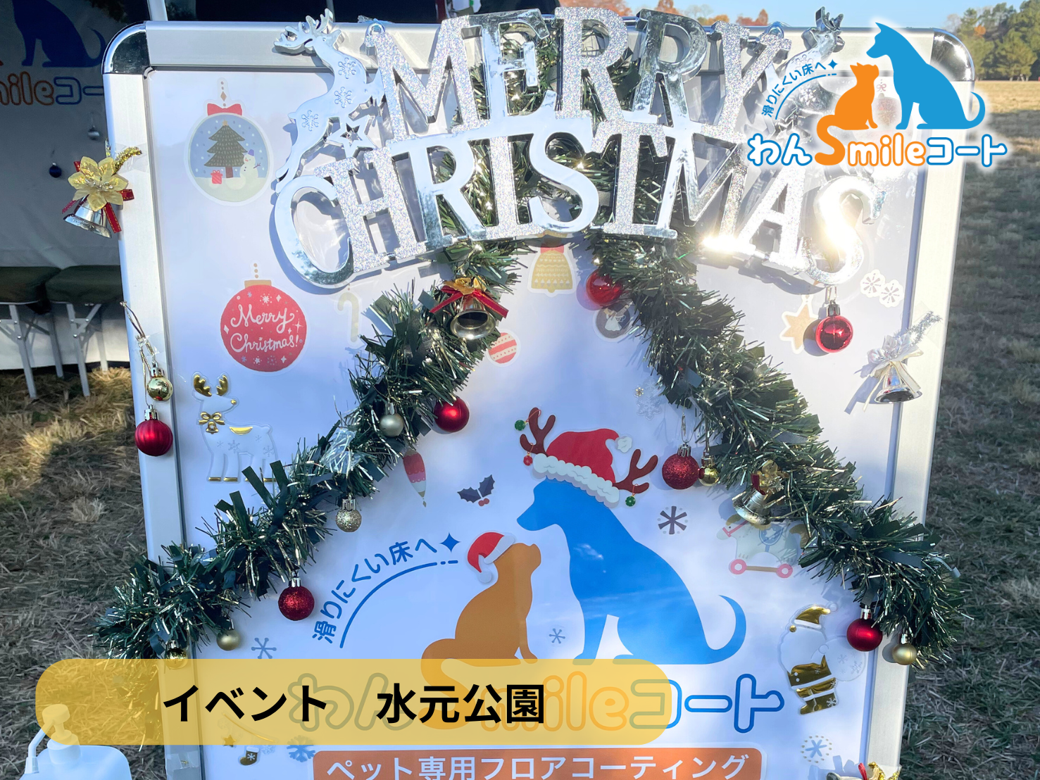 ドッグフレンドリーフェスタ出展｜イベントで触れた“あの質感”をショールームでじっくり体感しませんか？