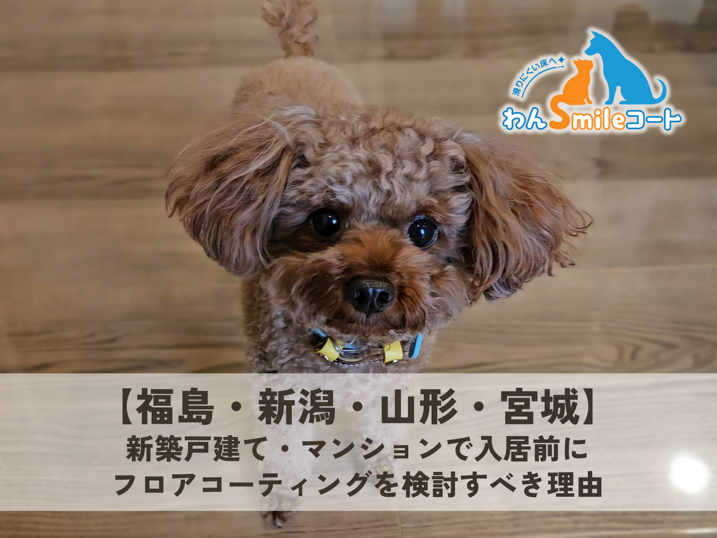 福島・新潟・山形・宮城の新築住宅でわんちゃんのために入居前に行うフロアコーティング
