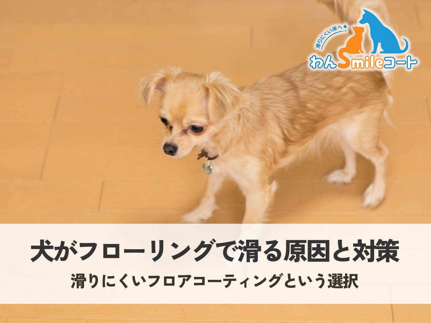 犬がフローリングで滑る原因と対策｜滑りにくいフロアコーティング