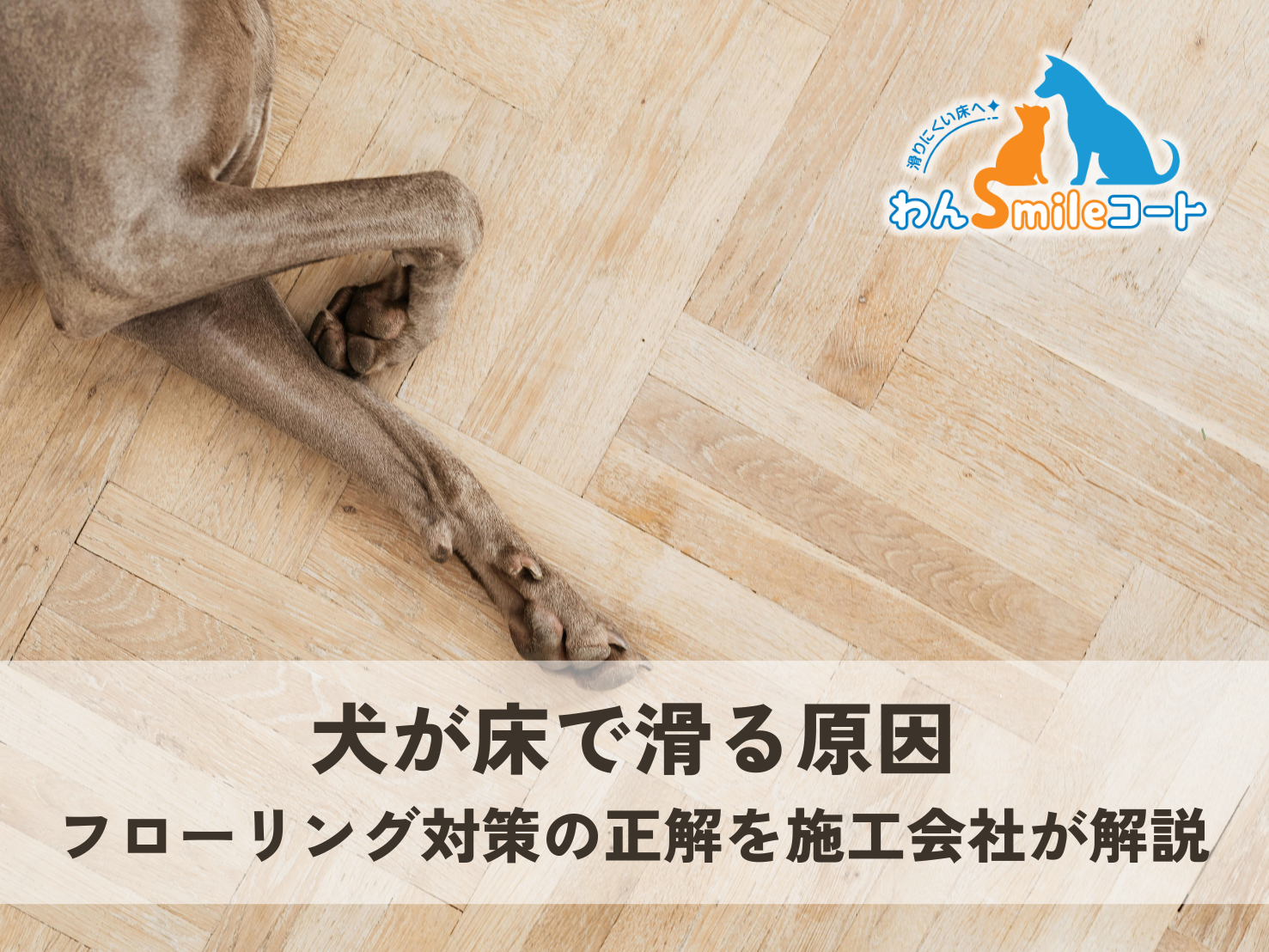 犬がフローリングの床を歩いている様子。犬の滑り対策や床コーティング比較記事のアイキャッチ画像