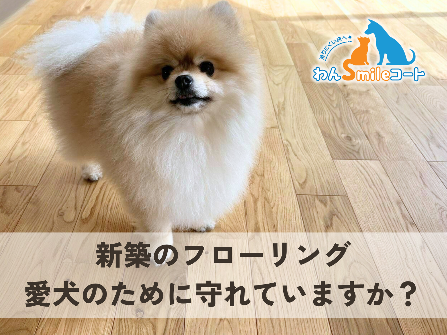 新築のフローリング、愛犬のために守れていますか？