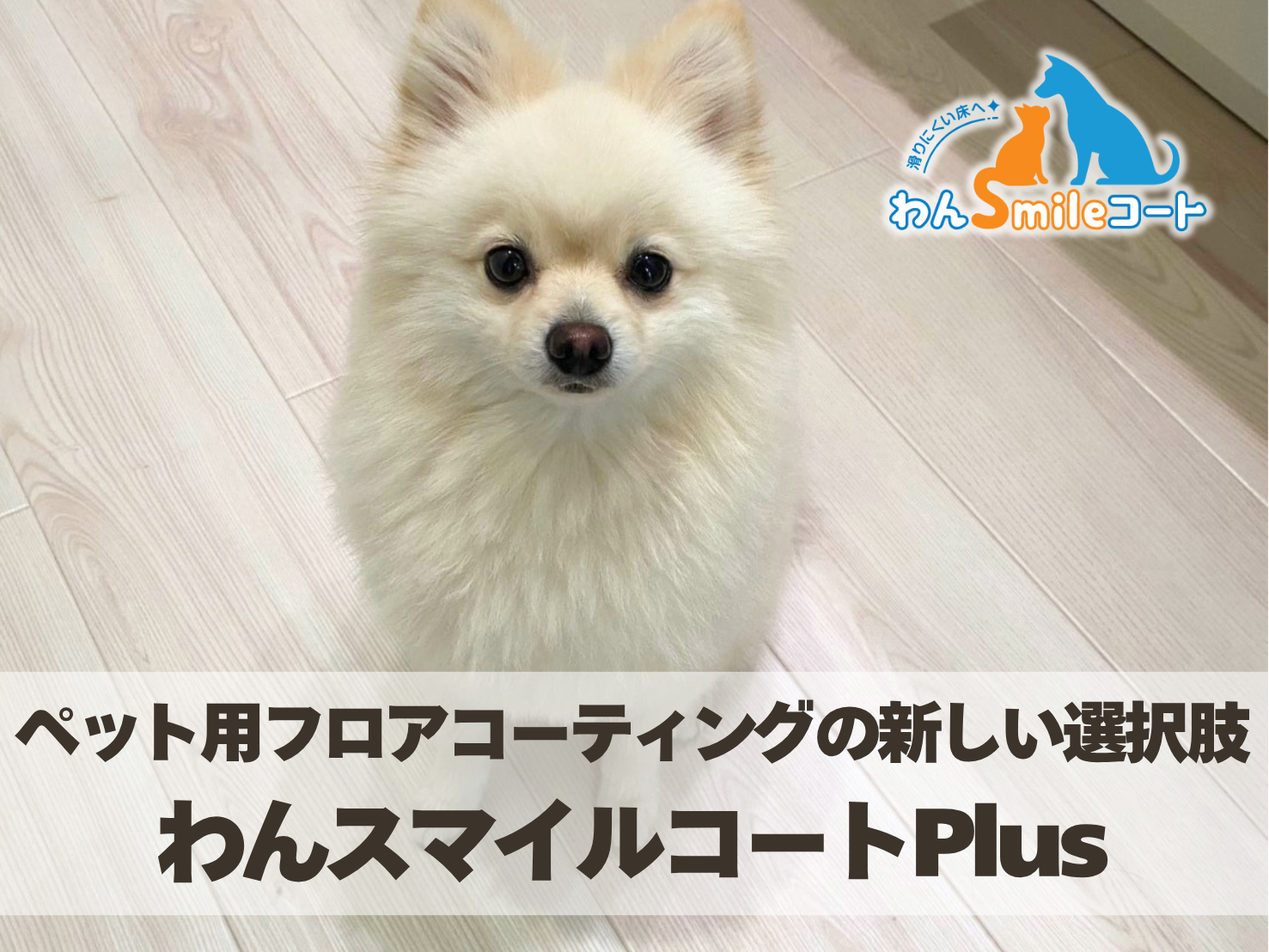 わんスマイルコートPlusのマット仕上げペット用フロアコーティング