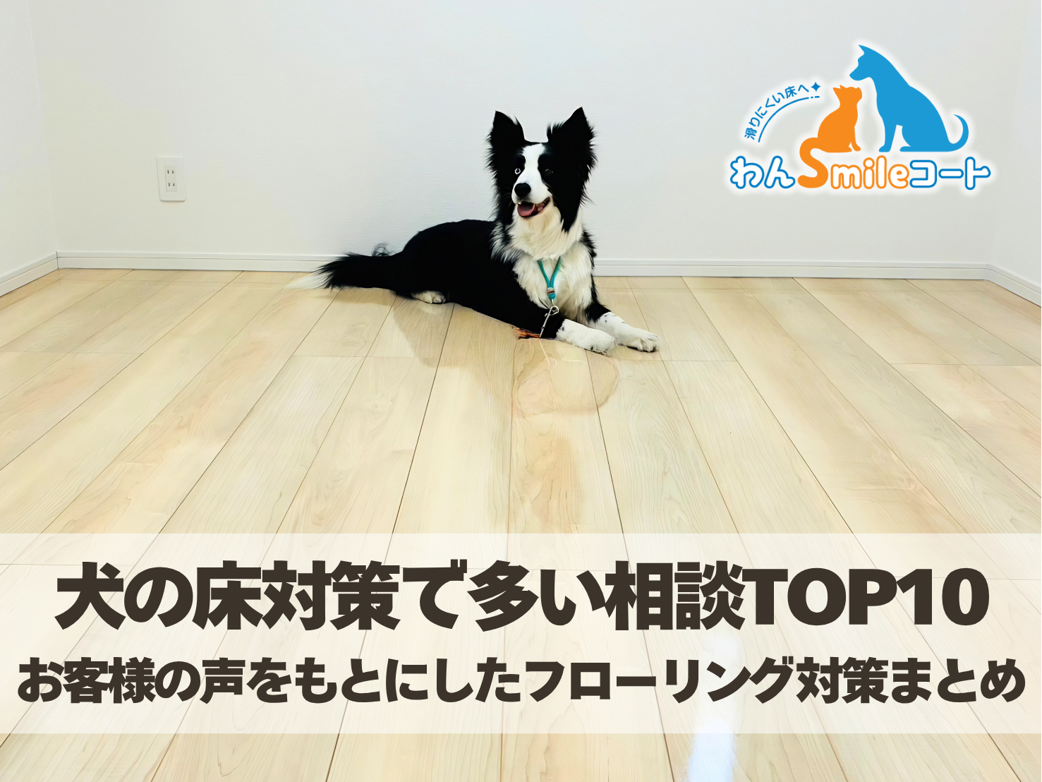 犬の床対策で多い相談TOP10 お客様の声をもとにしたフローリング対策まとめ