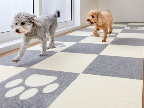 犬の滑り対策でマットを敷き詰めた床 生活しづらさの例