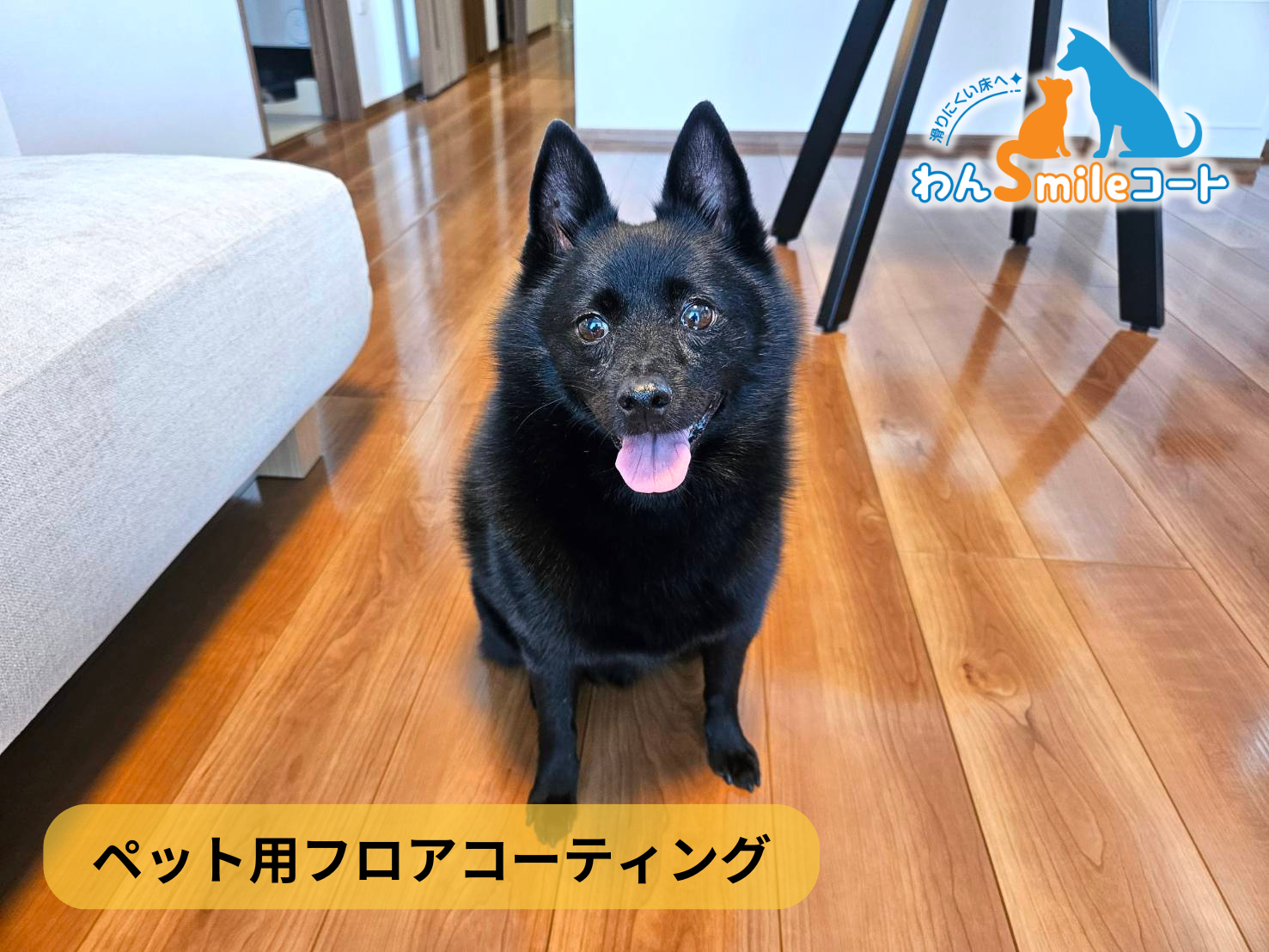 フロアコーティング　東京都立川市錦町　入居中マンション 7月27日【お客様からのご依頼】　ペット用フロアコーティング　わんスマイルコート　ＵＶ照射特殊施工　剥離清掃