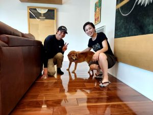 滑りにくいフロアコーティングで遊ぶ犬