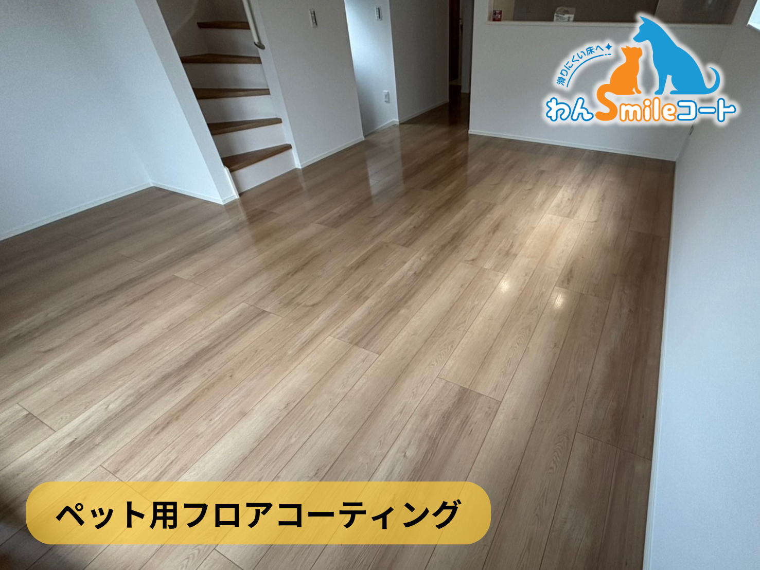 わんスマイルコート ペット用フロアコーティング 施工例"