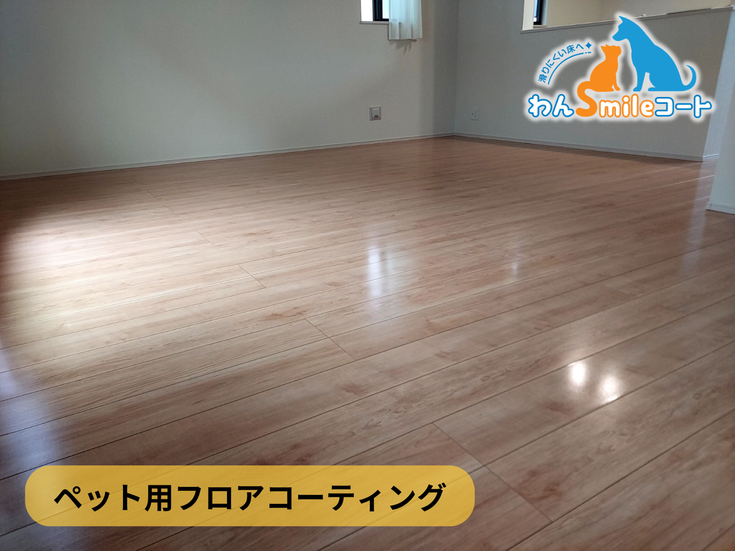 フロアコーティング　千葉県市川市大和田　新築戸建 8月10日 ペット用フロアコーティング　わんスマイルコート　網戸取付工事