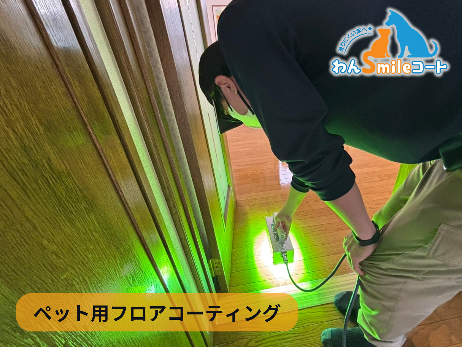 ペット対応フロアコーティング「わんスマイルコート」施工事例サムネイル