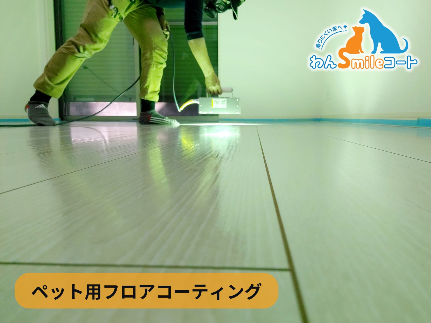 ペット 滑りにくい フロアコーティング