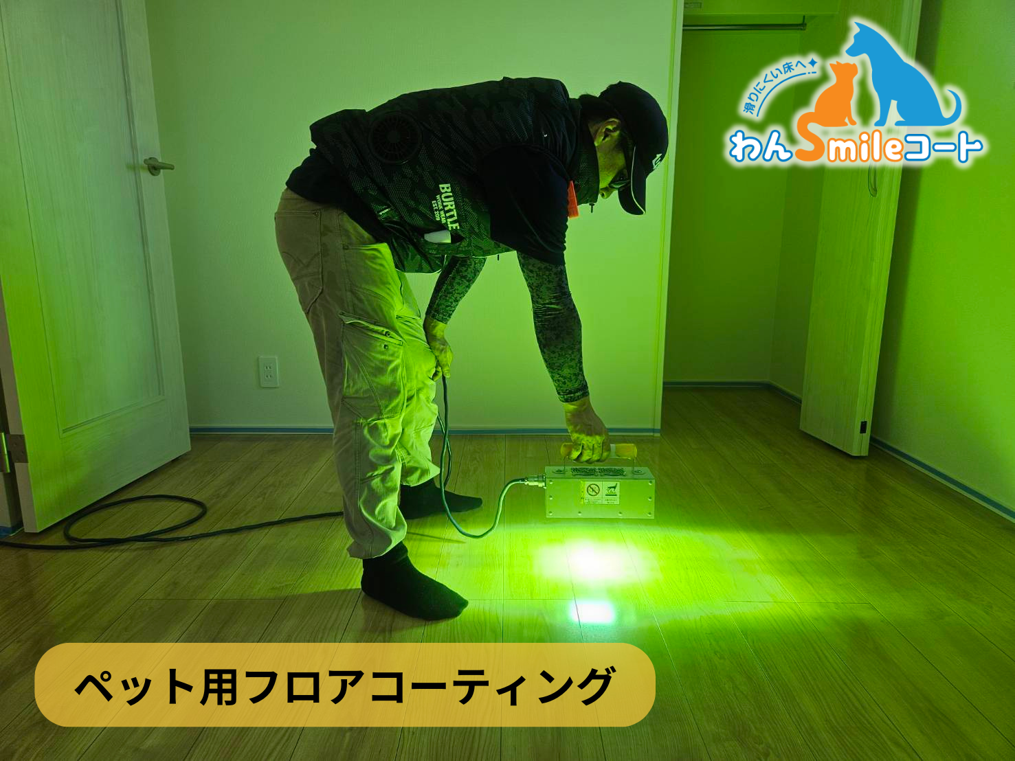 フロアコーティング　東京都江戸川区西瑞江　新築戸建 8月24日 ペット用フロアコーティング　わんスマイルコート