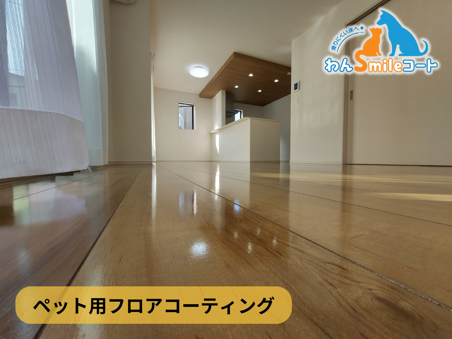犬と暮らす家庭に最適なわんスマイルコート施工事例