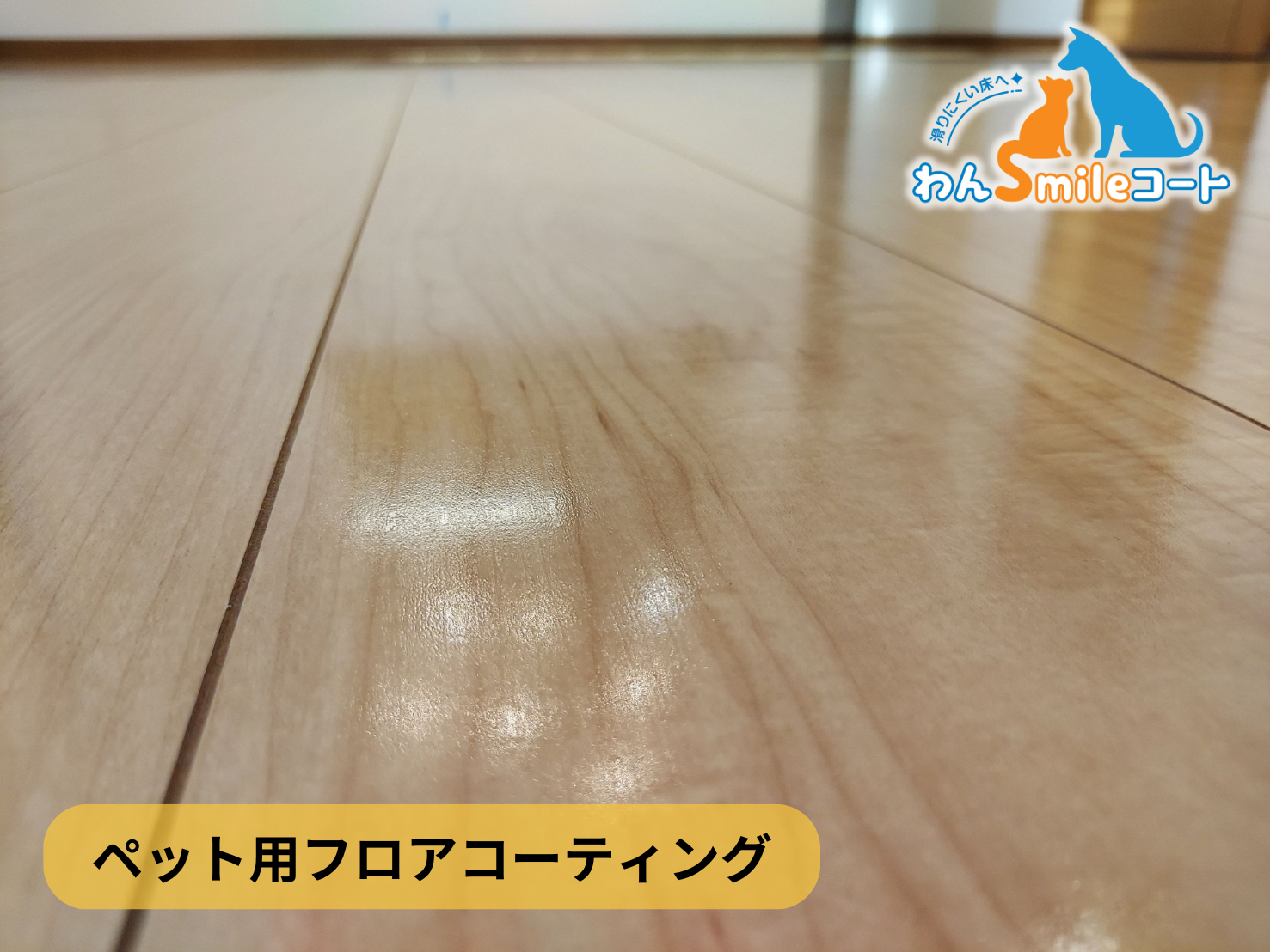 ペットの粗相で床にシミがつく前に施工した事例