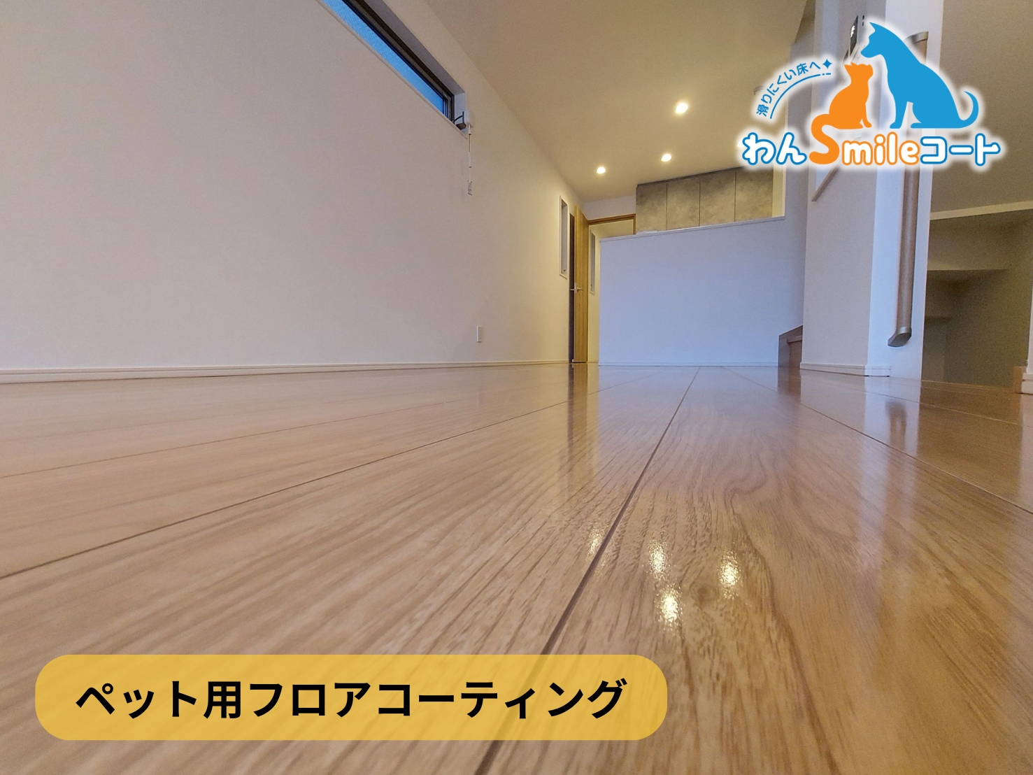 フロアコーティング　神奈川県横浜市中区　新築戸建 8月26日 ペット用フロアコーティング　わんスマイルコート