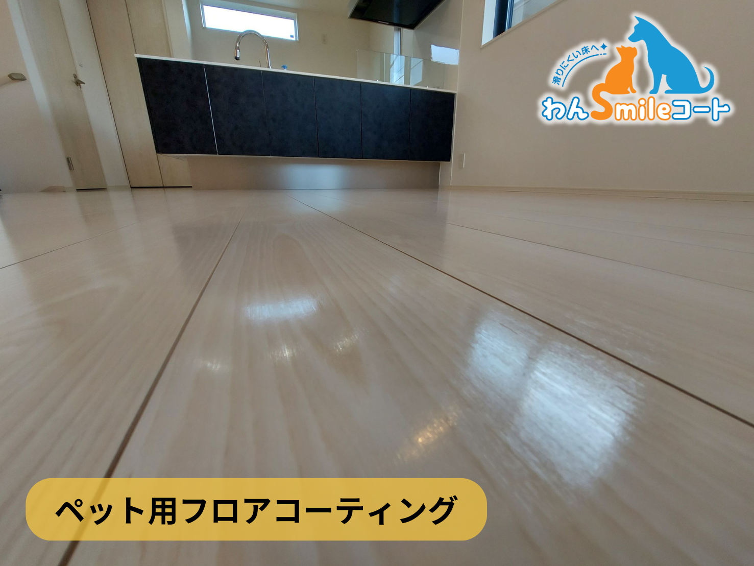 フロアコーティング　神奈川県横浜市鶴見区　新築戸建 8月26日 ペット用フロアコーティング　わんスマイルコート
