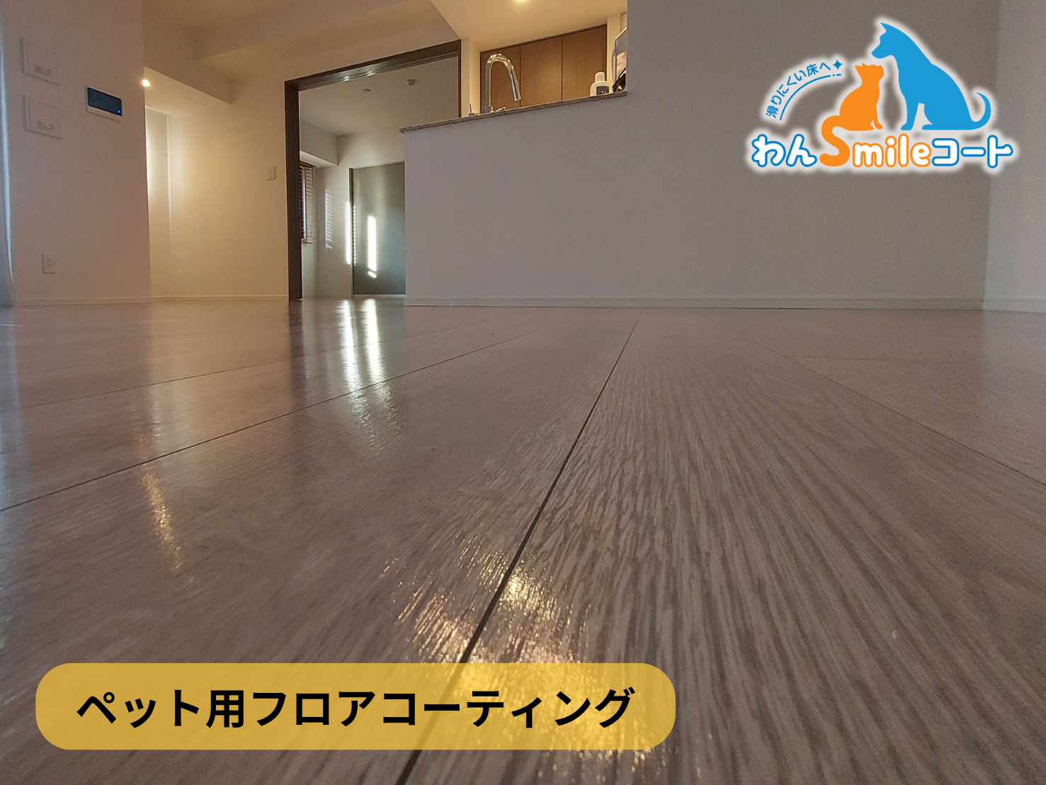 フロアコーティング　東京都江東区永代　新築戸建 8月21日 ペット用フロアコーティング　わんスマイルコート