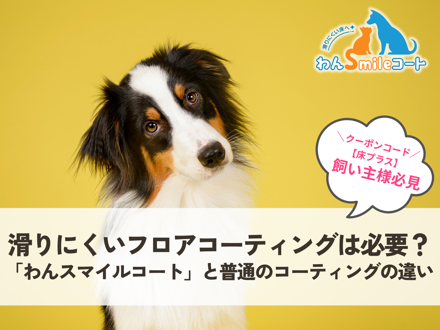 ペット対応フロアコーティング「わんスマイルコート」施工事例サムネイル