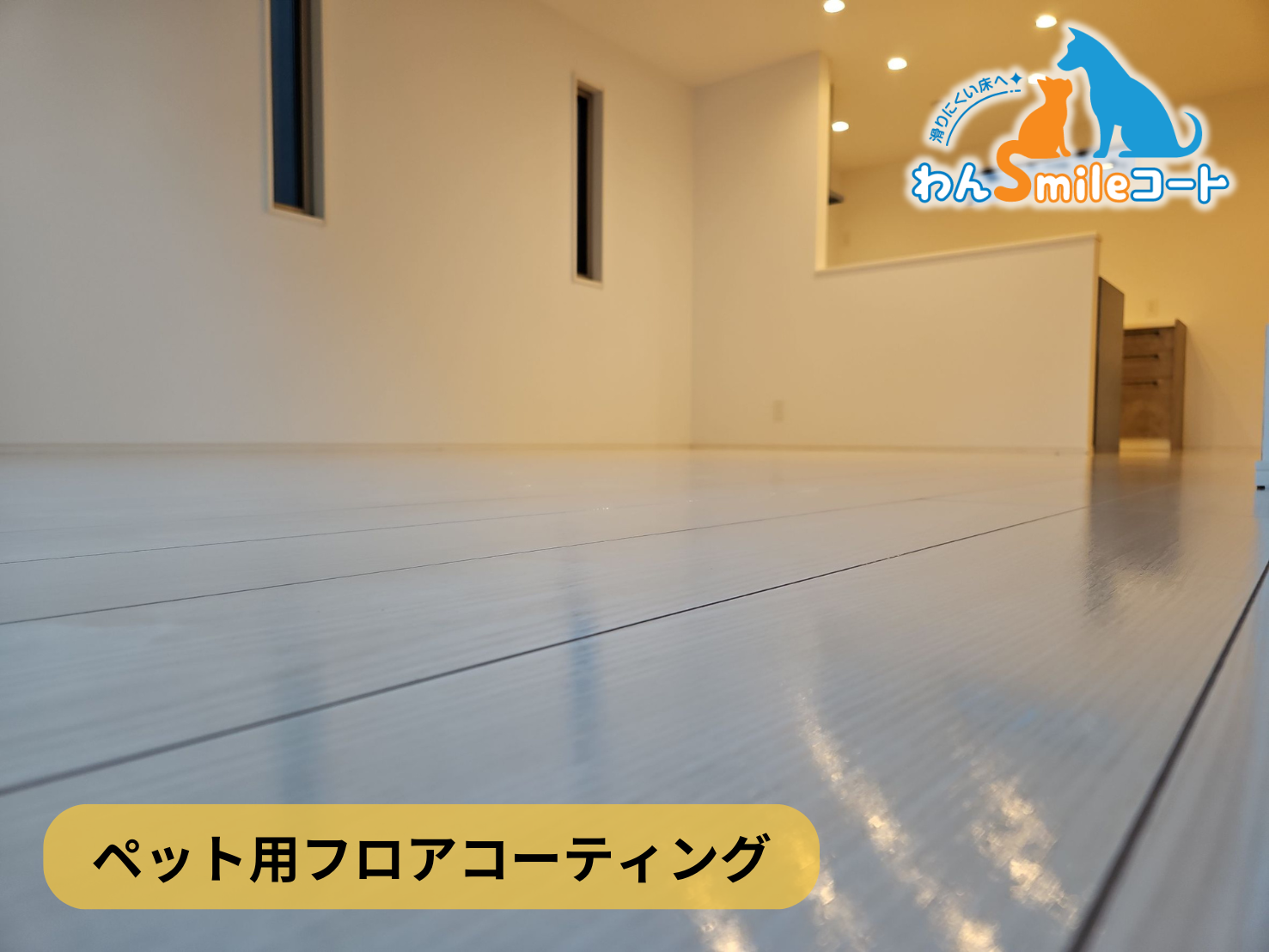 フロアコーティング　神奈川県横浜市保土ヶ谷区　新築戸建 8月28日 ペット用フロアコーティング　わんスマイルコート