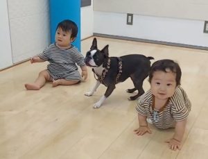 お子様、ペット大歓迎♪フロアコーティングの滑りにくさを体験できるショールーム