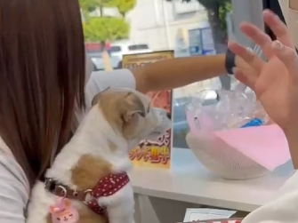 その場で当たる💕ハズレなしの「くじ引きキャンペーン」を実施中です🎉