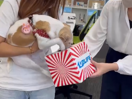 その場で当たる💕ハズレなしの「くじ引きキャンペーン」を実施中です🎉