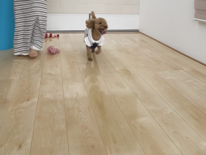 グリップが効いている為ダッシュしやすい