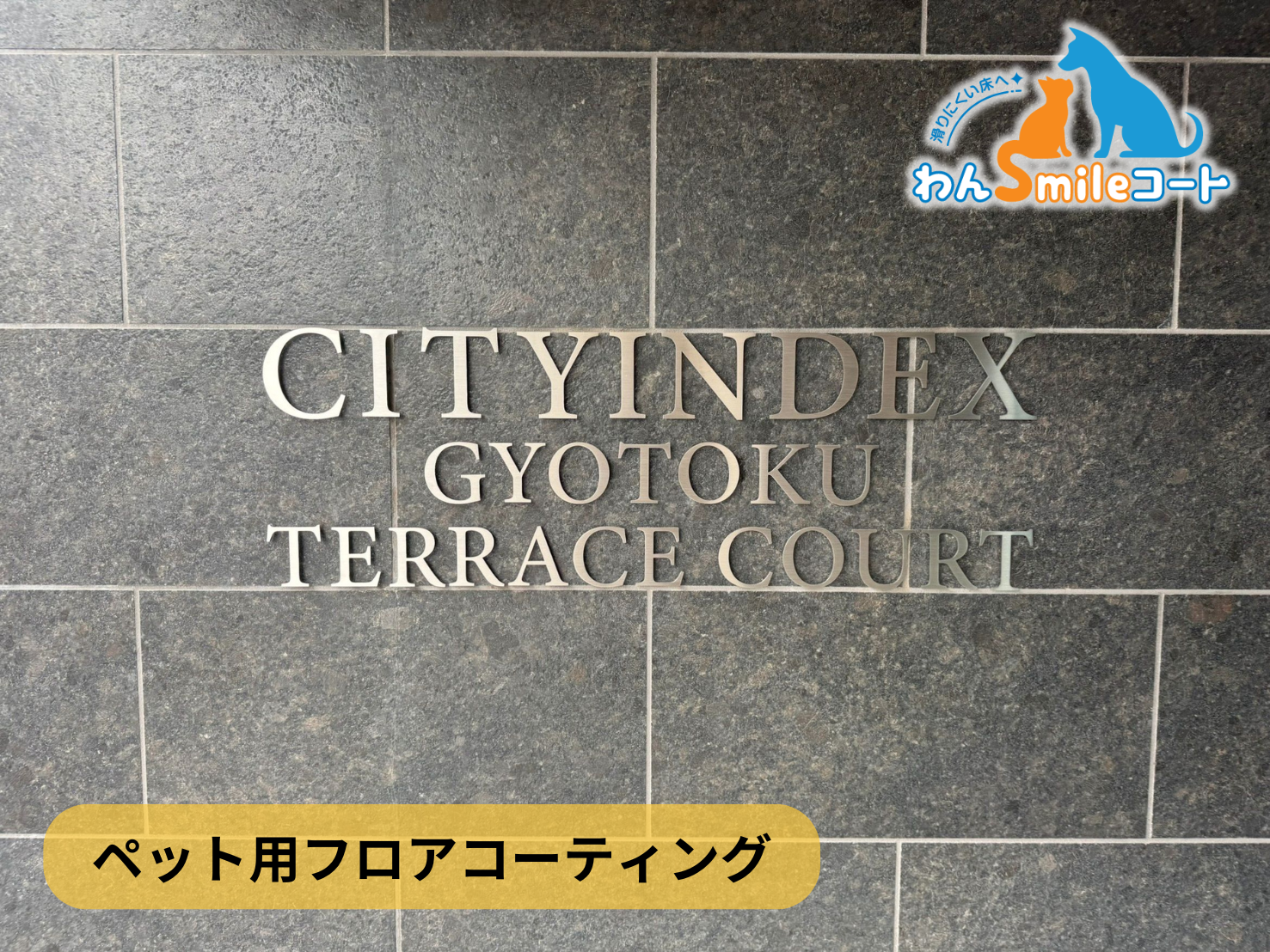 フロアコーティング　千葉県市川市行徳駅前　新築マンション シティインデックス行徳テラスコート　9月29日 ペット用フロアコーティング　わんスマイルコート