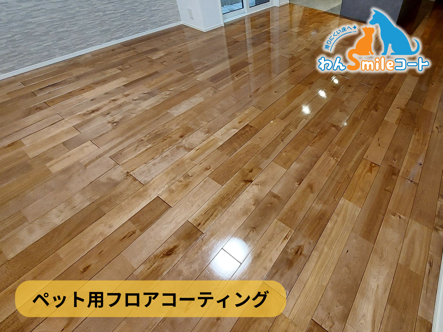 フロアコーティング　神奈川県横浜市青葉区　新築戸建 9月26日 ペット用フロアコーティング　わんスマイルコート