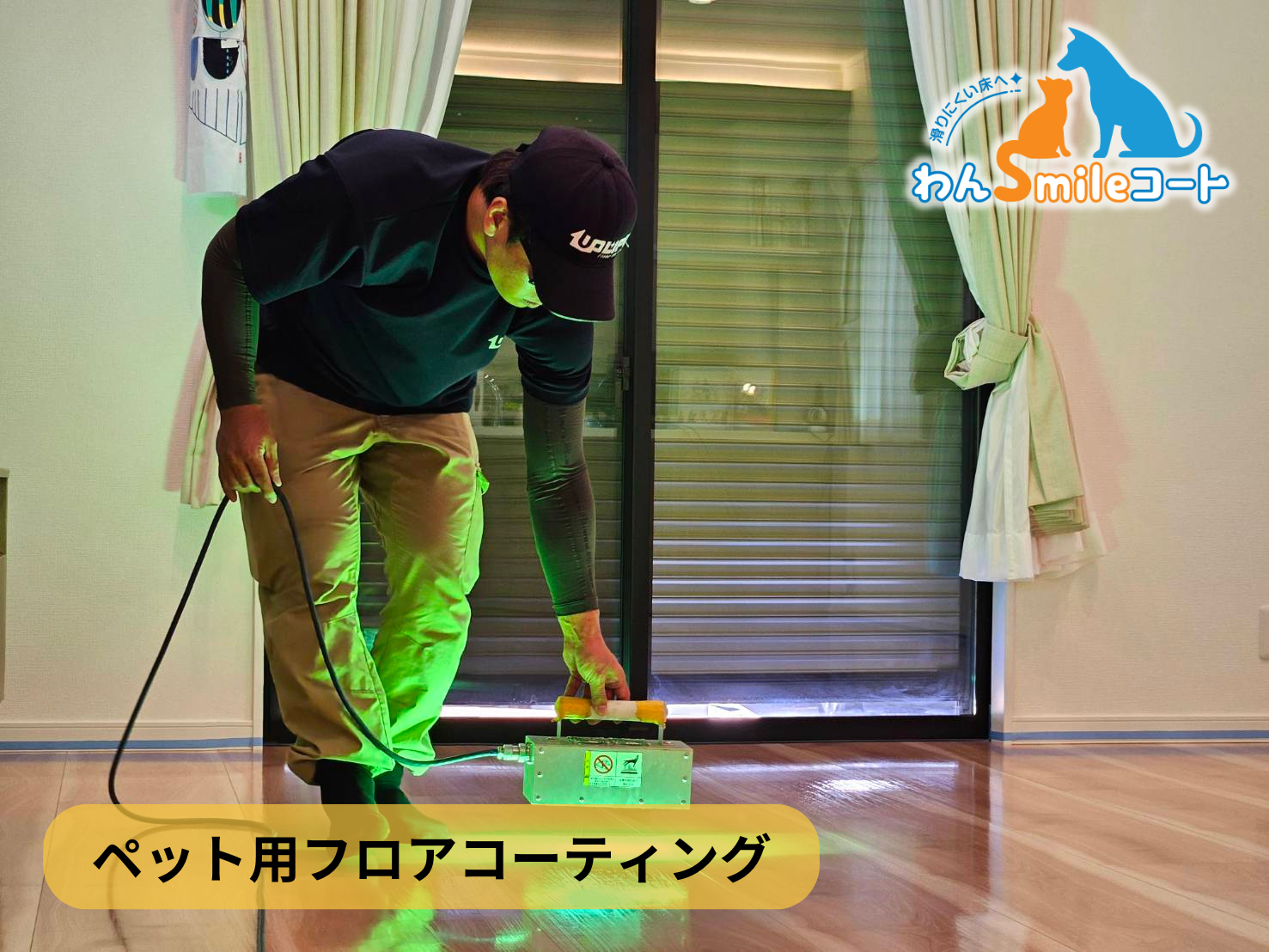 フロアコーティング　埼玉県春日部市中央　入居中戸建 9月26日 ペット用フロアコーティング　わんスマイルコート