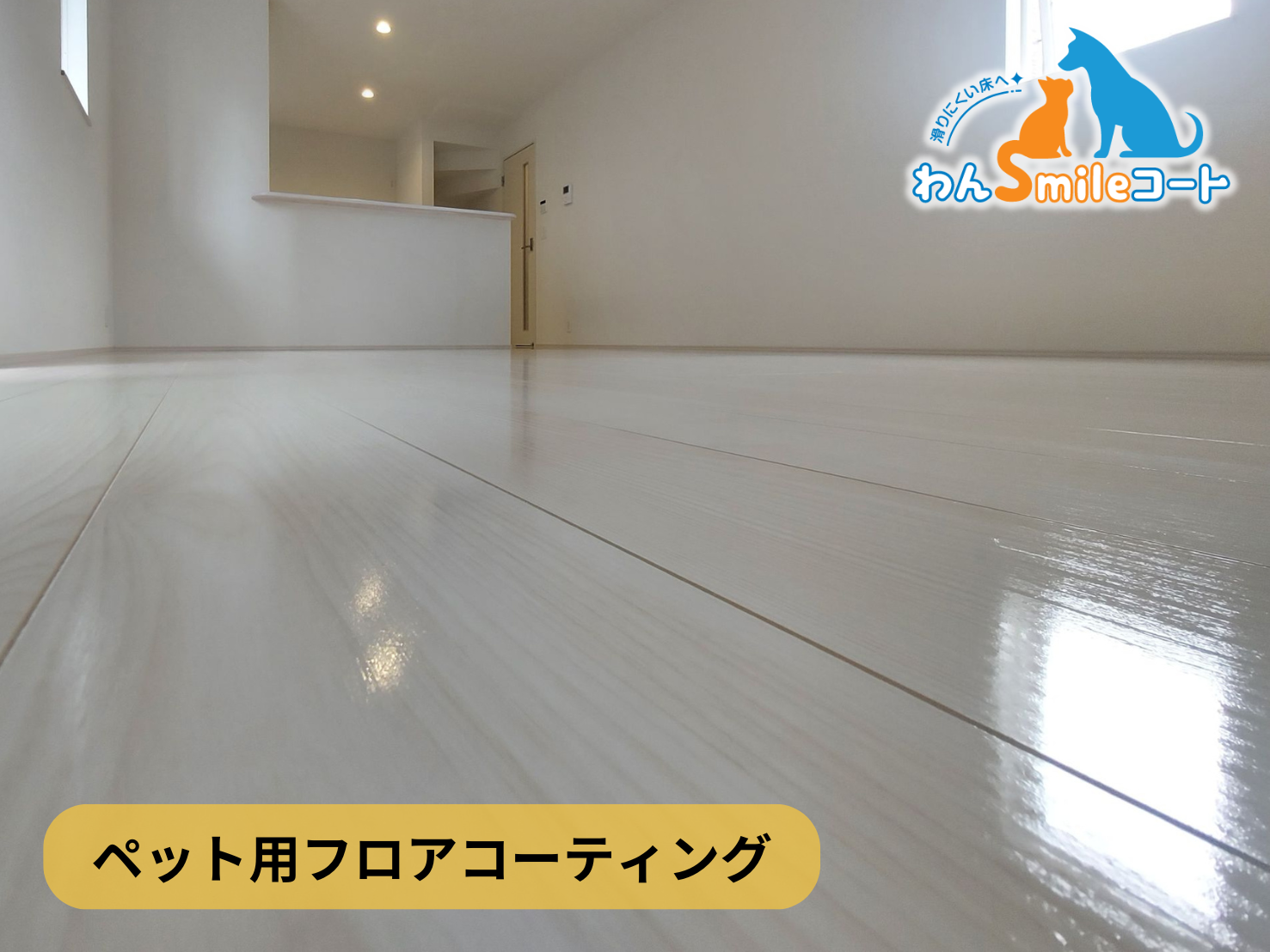 フロアコーティング　埼玉県さいたま市大宮区　新築戸建 9月25日 ペット用フロアコーティング　わんスマイルコート