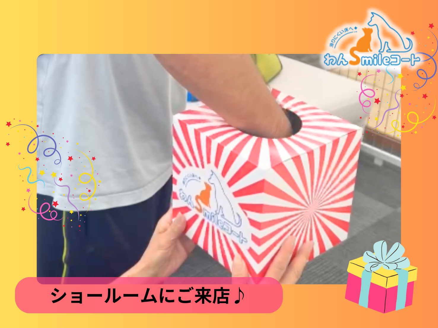 【体験談】1歳の柴犬と暮らすご家族がショールームで比較!クッションフロアvsフロアコーティング 9月29日