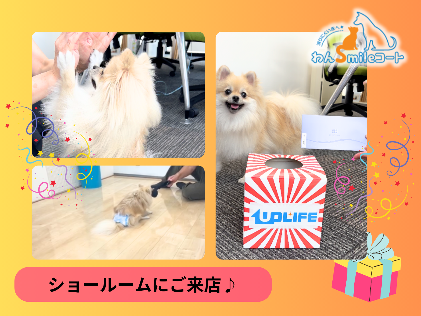 入居中でも安心！1歳のこむぎちゃんのためにわんスマイルコートを体験✨