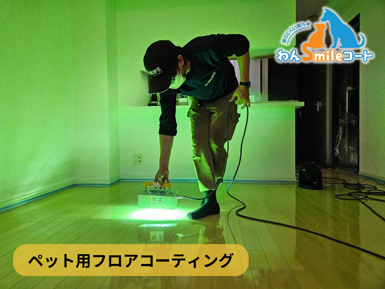 フロアコーティング　埼玉県熊谷市曙町　入居中マンション（築１７年） 9月5日 ペット用フロアコーティング　わんスマイルコート　剥離清掃