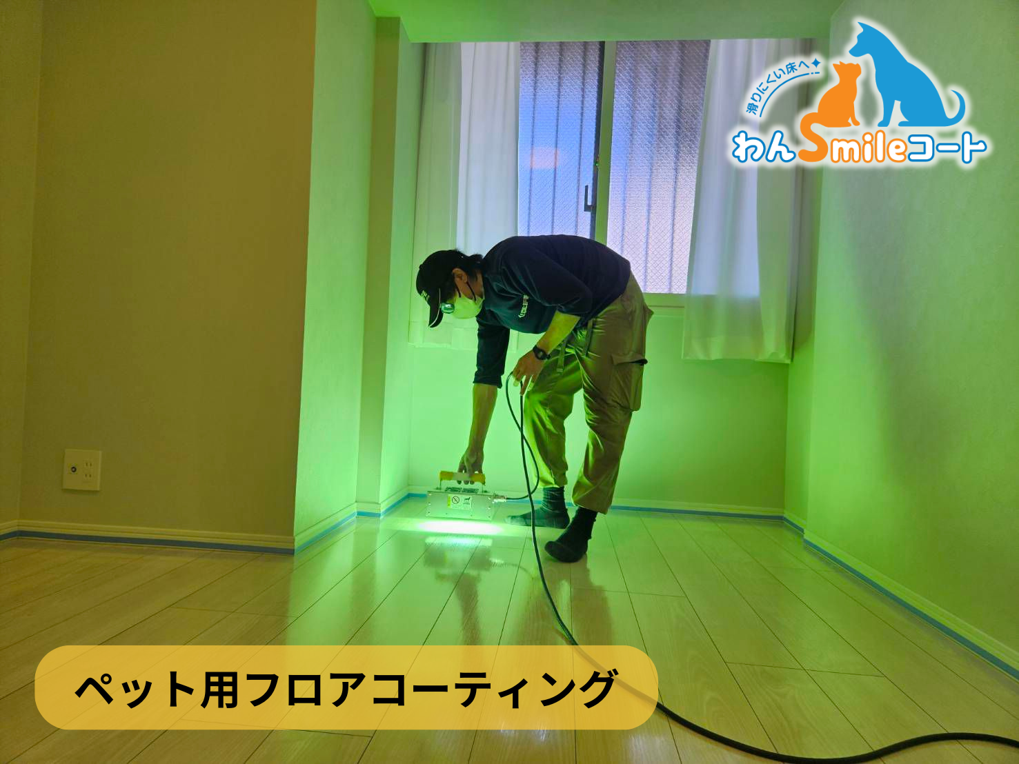 フロアコーティング　埼玉県川越市富士見町　リノベーションマンション 9月6日 ペット用フロアコーティング　わんスマイルコート