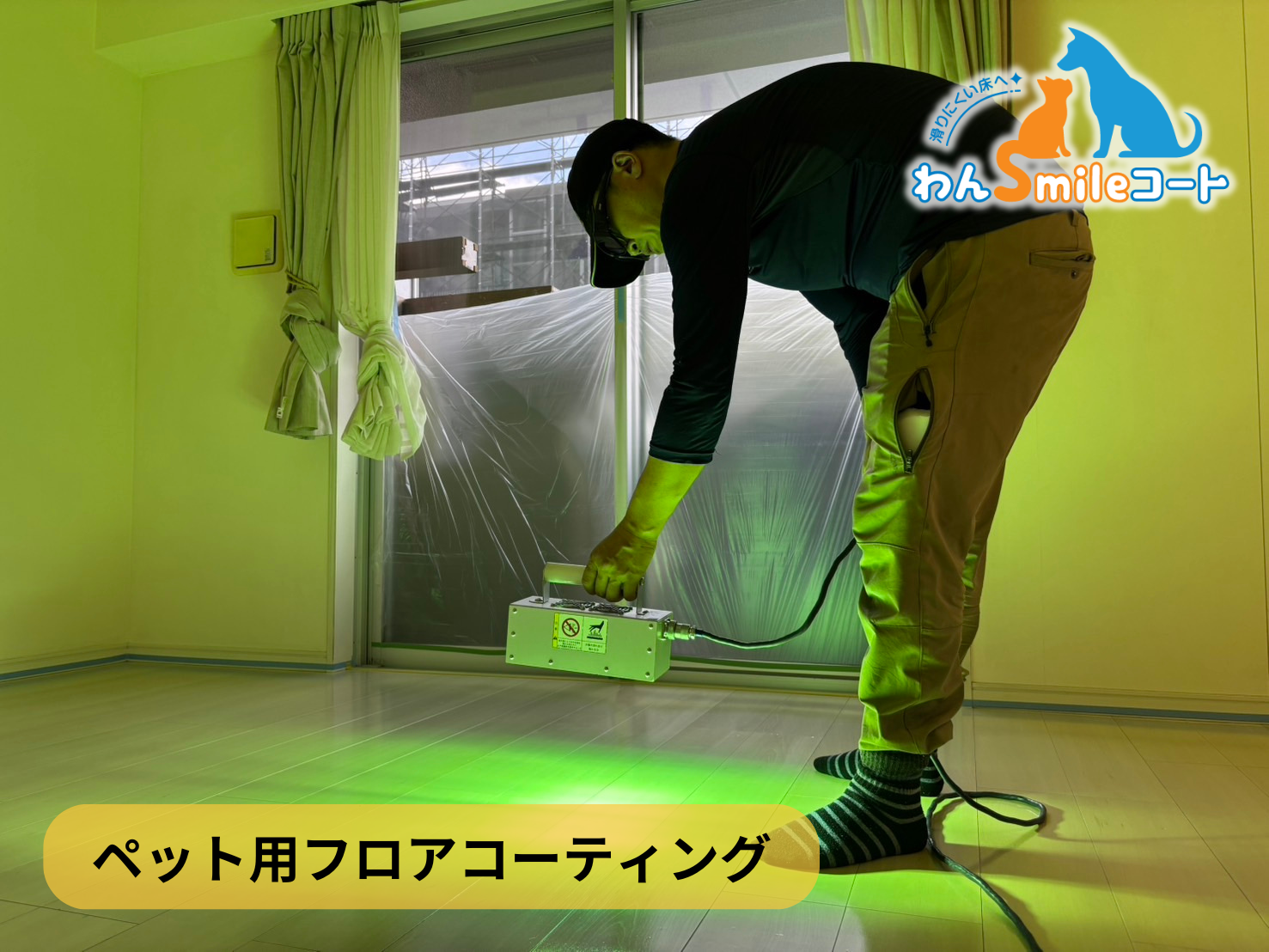 フロアコーティング　神奈川県横浜市都筑区　新築戸建 9月7日 ペット用フロアコーティング　わんスマイルコート