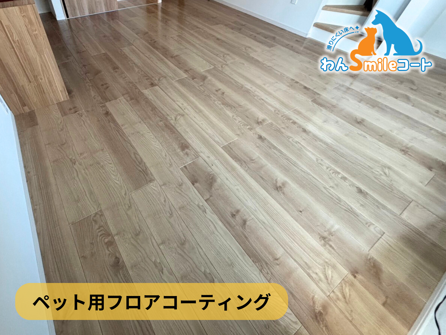 フロアコーティング　埼玉県さいたま市浦和区　新築戸建 9月8日 ペット用フロアコーティング　わんスマイルコート