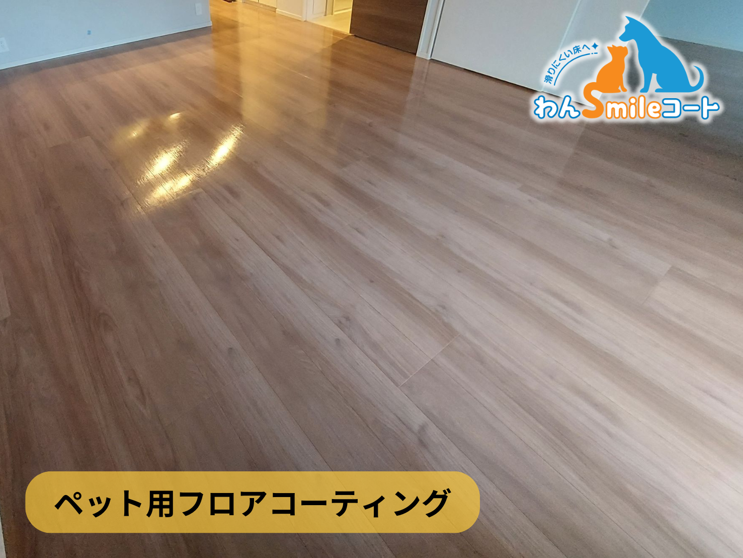フロアコーティング　神奈川県横浜市保土ヶ谷区　新築戸建 9月9日 ペット用フロアコーティング　わんスマイルコート