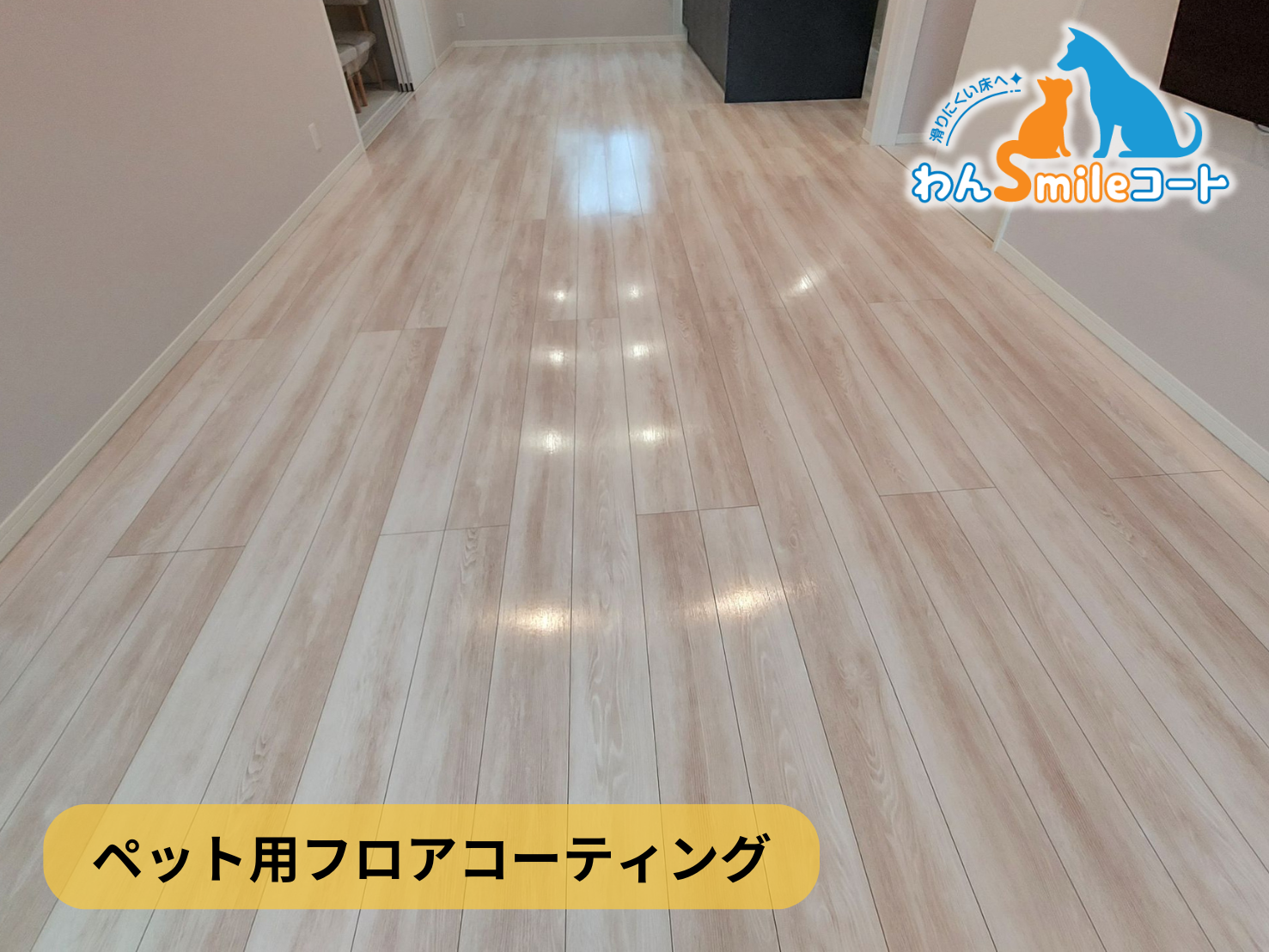 フロアコーティング　神奈川県横浜市港北区　新築戸建 9月11日 ペット用フロアコーティング　わんスマイルコート