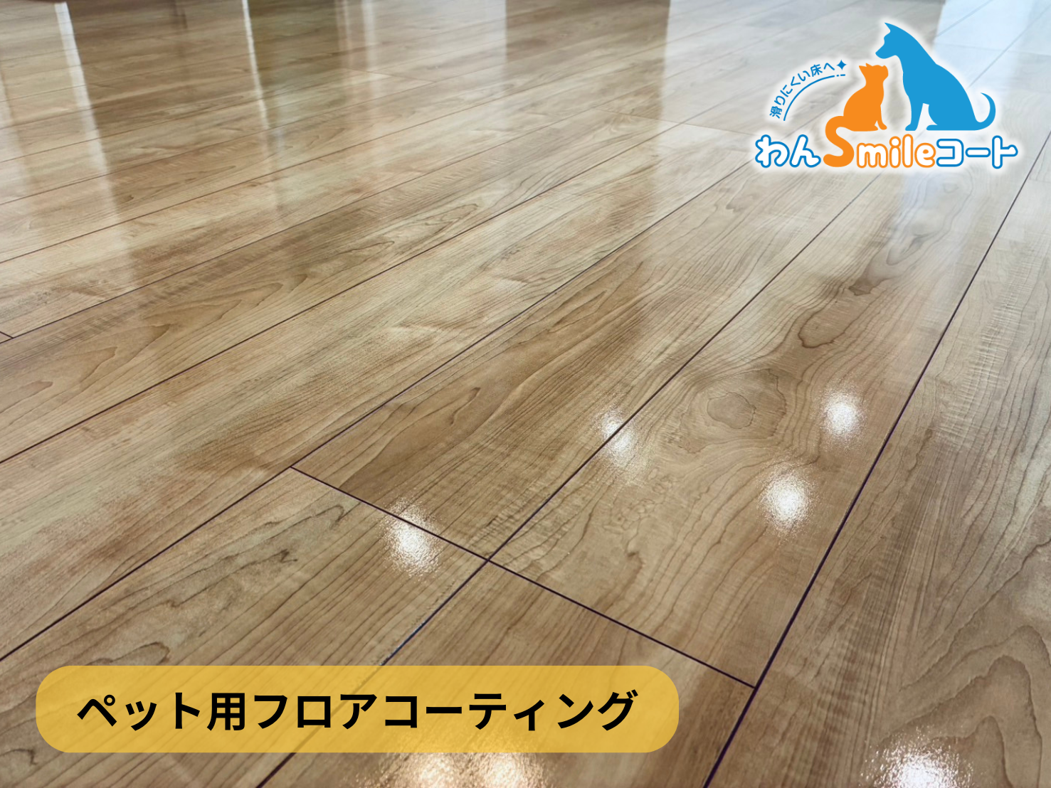フロアコーティング　東京都東村山市富士見町　新築戸建 9月15日 ペット用フロアコーティング　わんスマイルコート