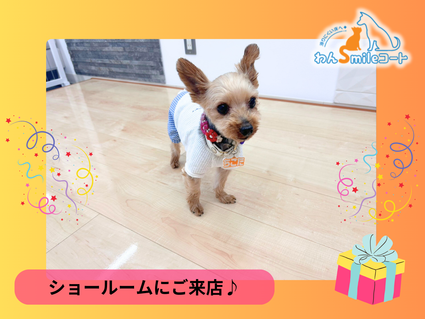 【とっても可愛い2匹のわんちゃんとご来店】一条工務店ご新居にフロアコーティングをご検討|ショールーム体験